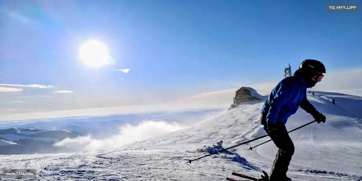 我们的品牌价值